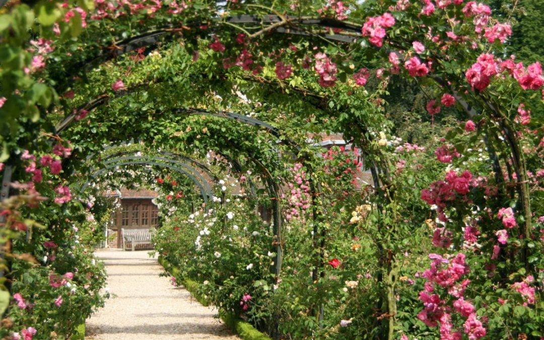 Top 5 des parcs et jardins de Paris pour se ressourcer à volonté